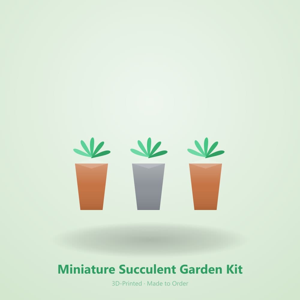 Miniature Succulent Garden Kit - alternate view