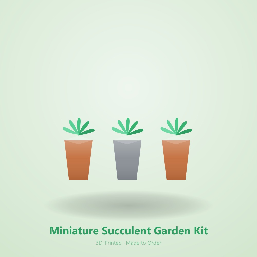 Miniature Succulent Garden Kit - 2